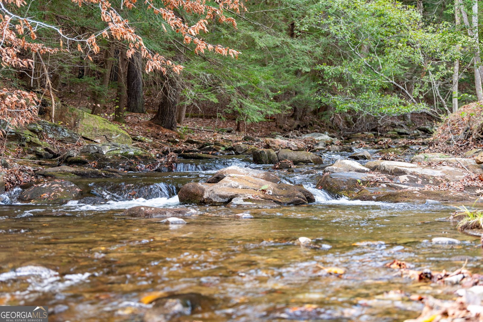 947 Mountain Oak Road Ellijay - 92