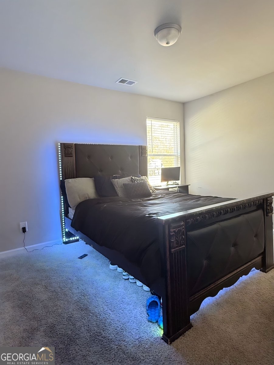 204 Vineyard Ridge Drive Griffin - 16