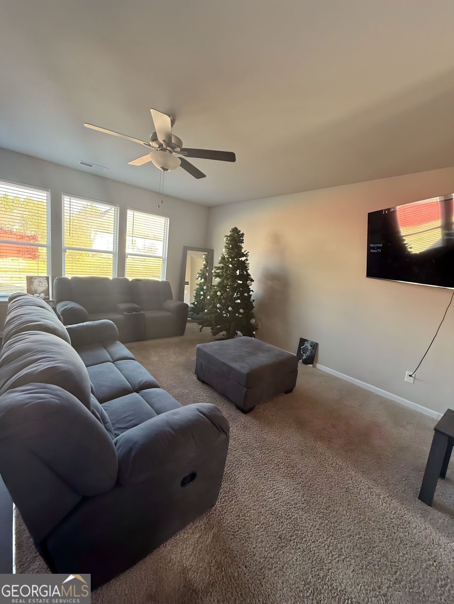 204 Vineyard Ridge Drive Griffin - 6