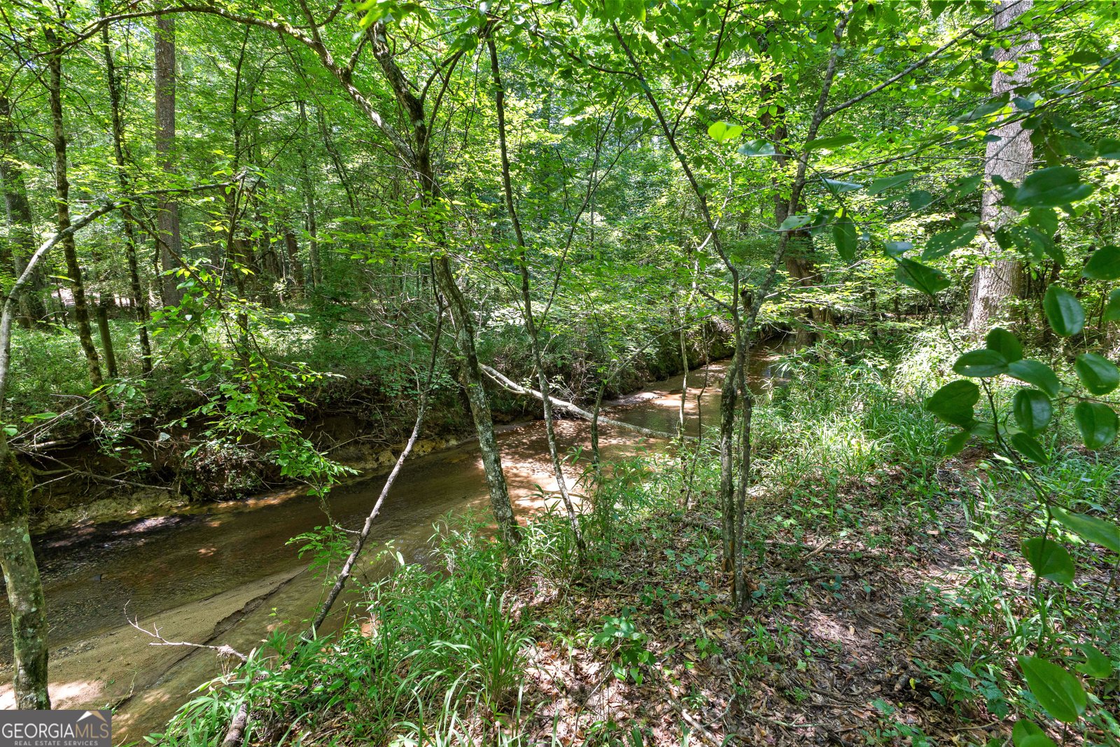 493 Boone Road Newnan - 100