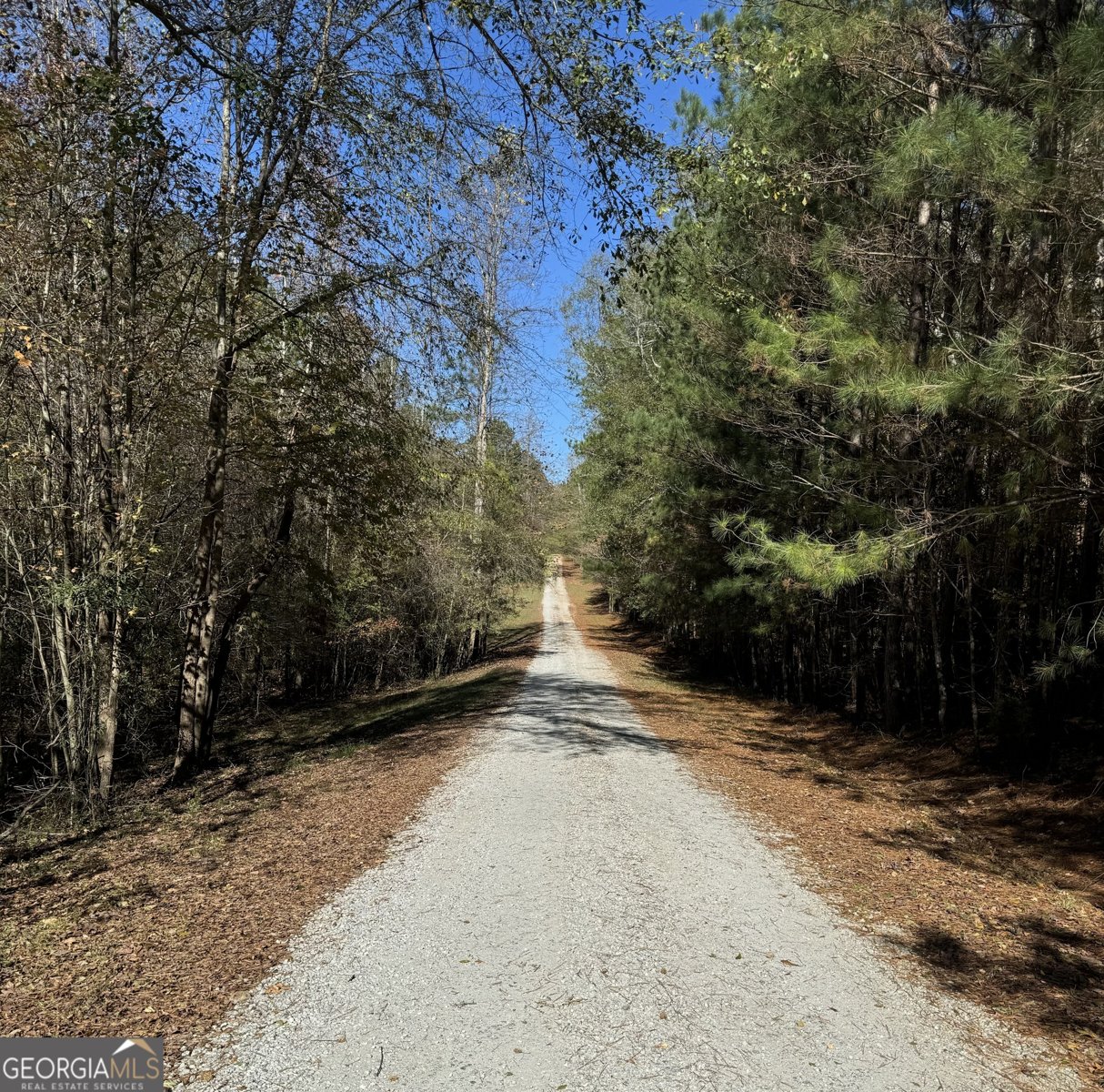 493 Boone Road Newnan - 20