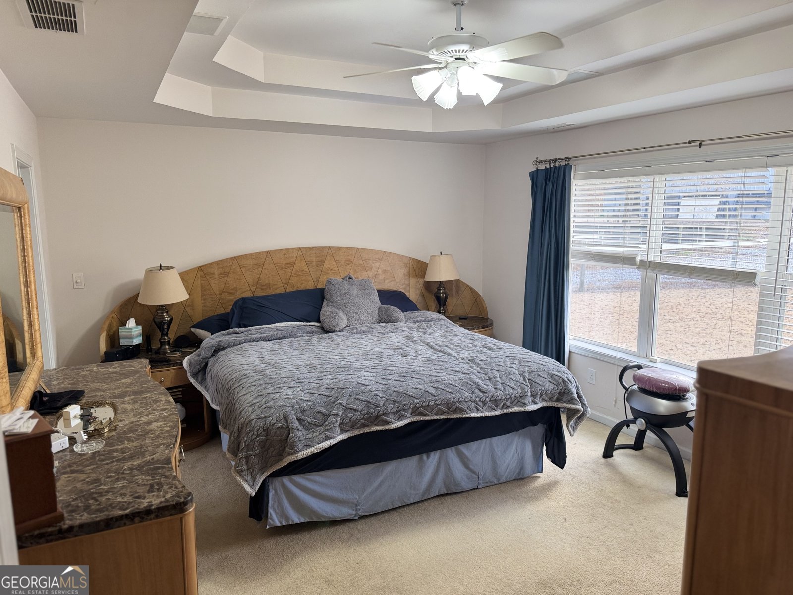 493 Boone Road Newnan - 49