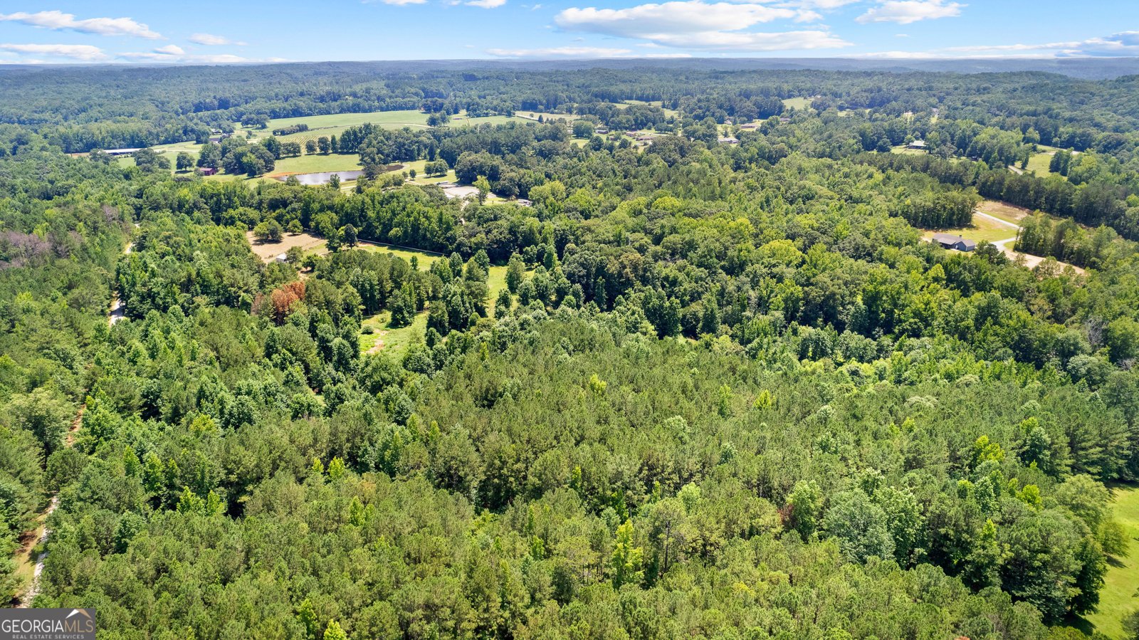 493 Boone Road Newnan - 96