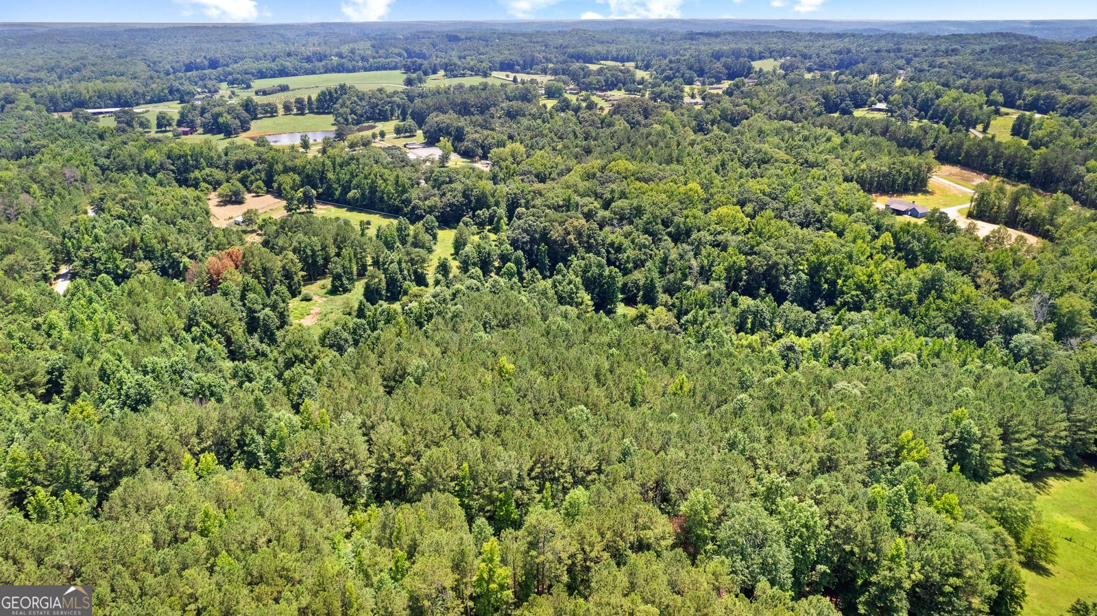 493 Boone Road Newnan - 98