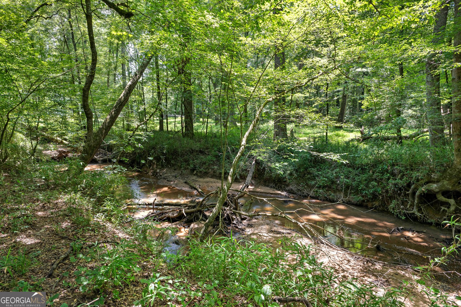 493 Boone Road Newnan - 99