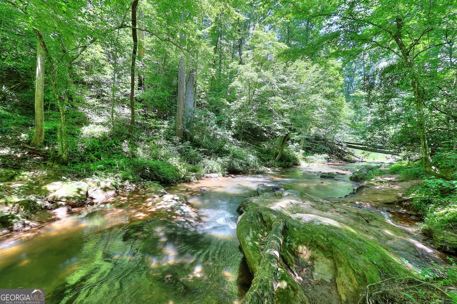 95 Cedar Hollow Road Cleveland - 41