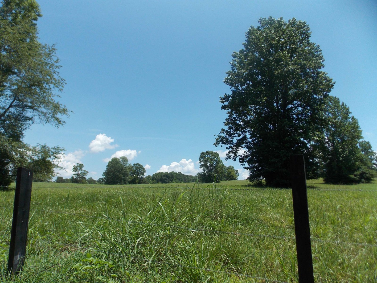 890 Ellis Road Monticello - 102