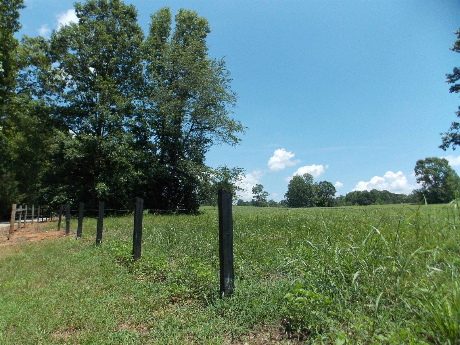 890 Ellis Road Monticello - 103