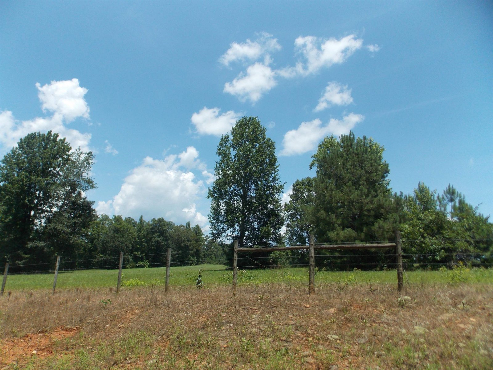 890 Ellis Road Monticello - 104