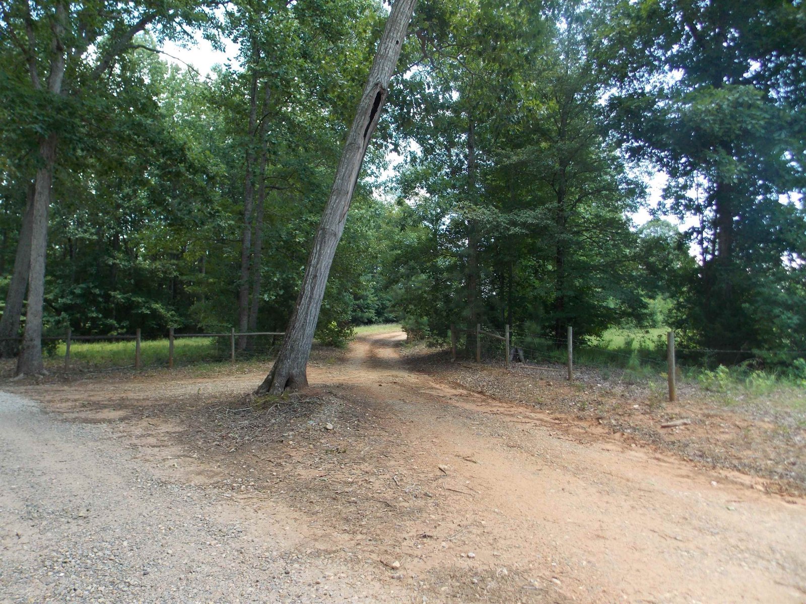 890 Ellis Road Monticello - 89