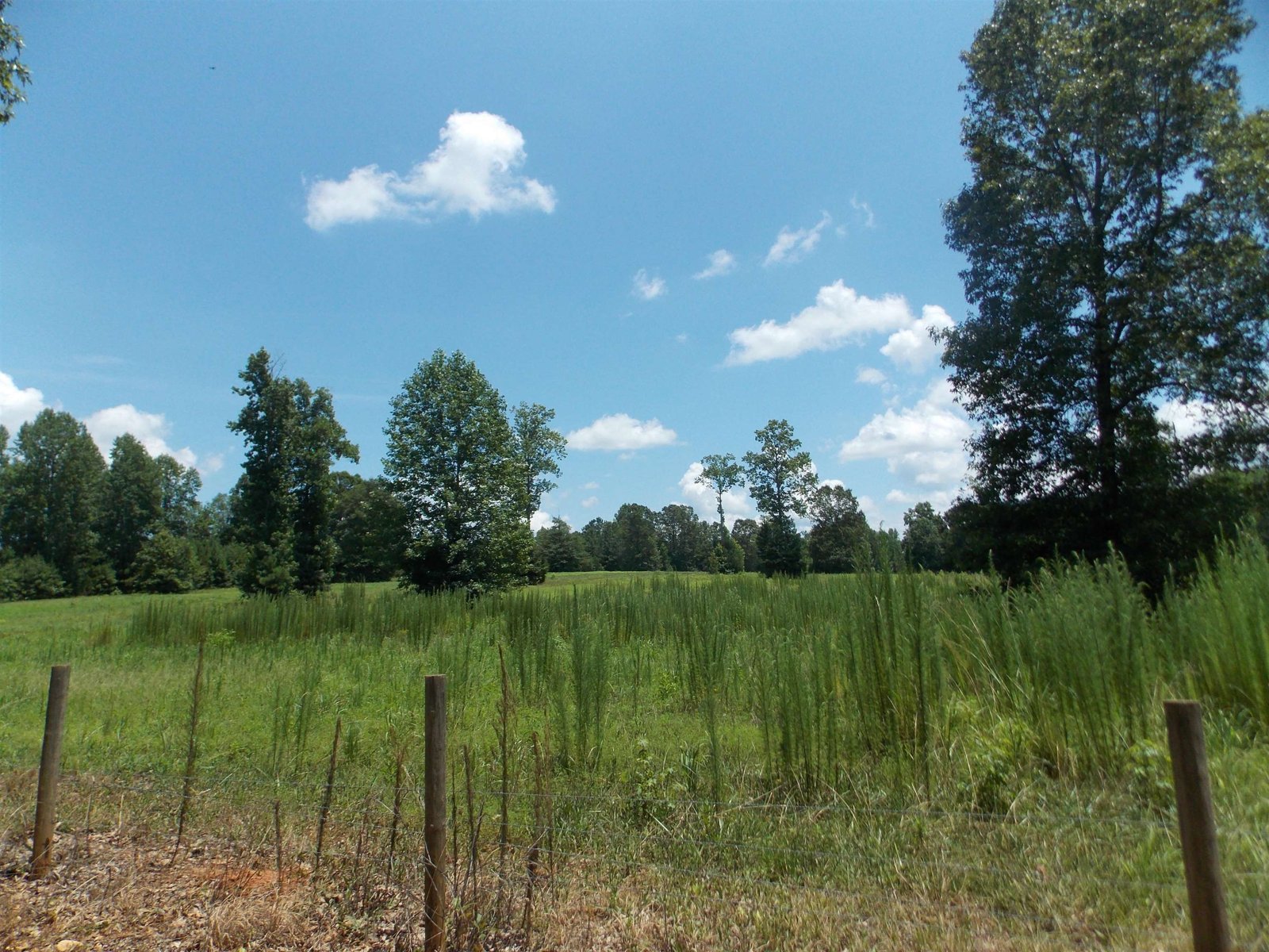 890 Ellis Road Monticello - 91