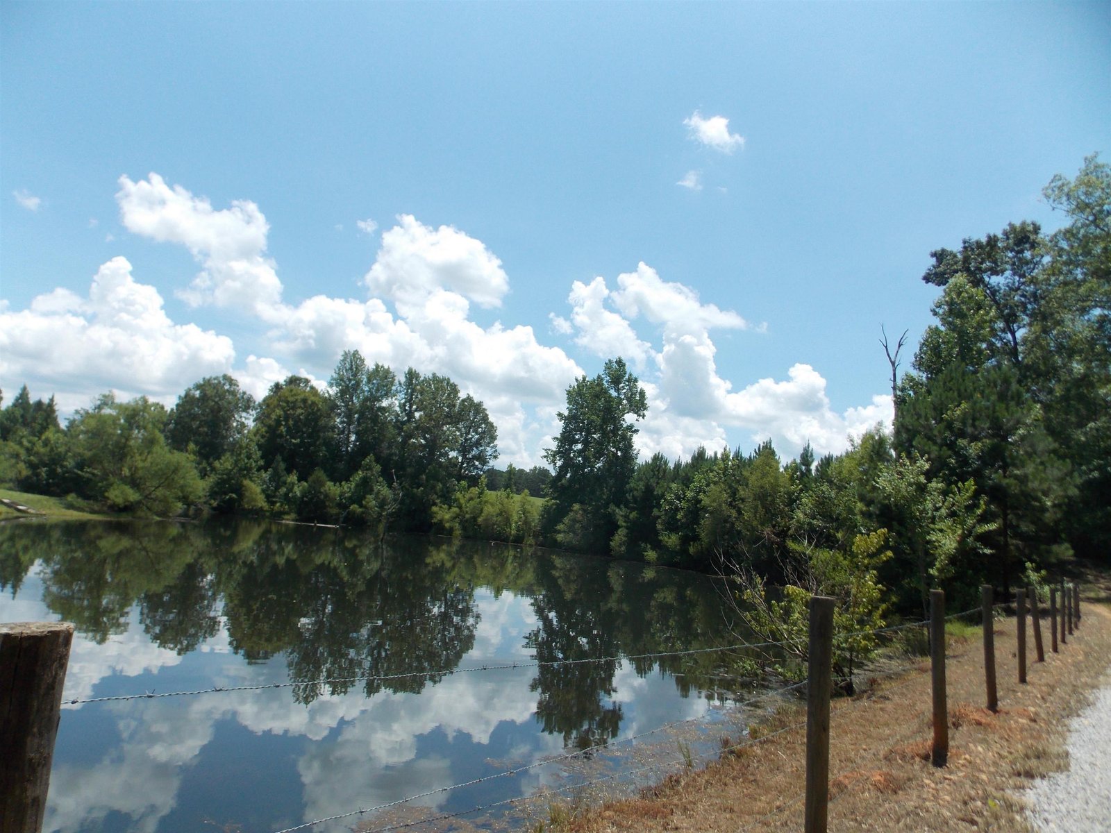 890 Ellis Road Monticello - 96