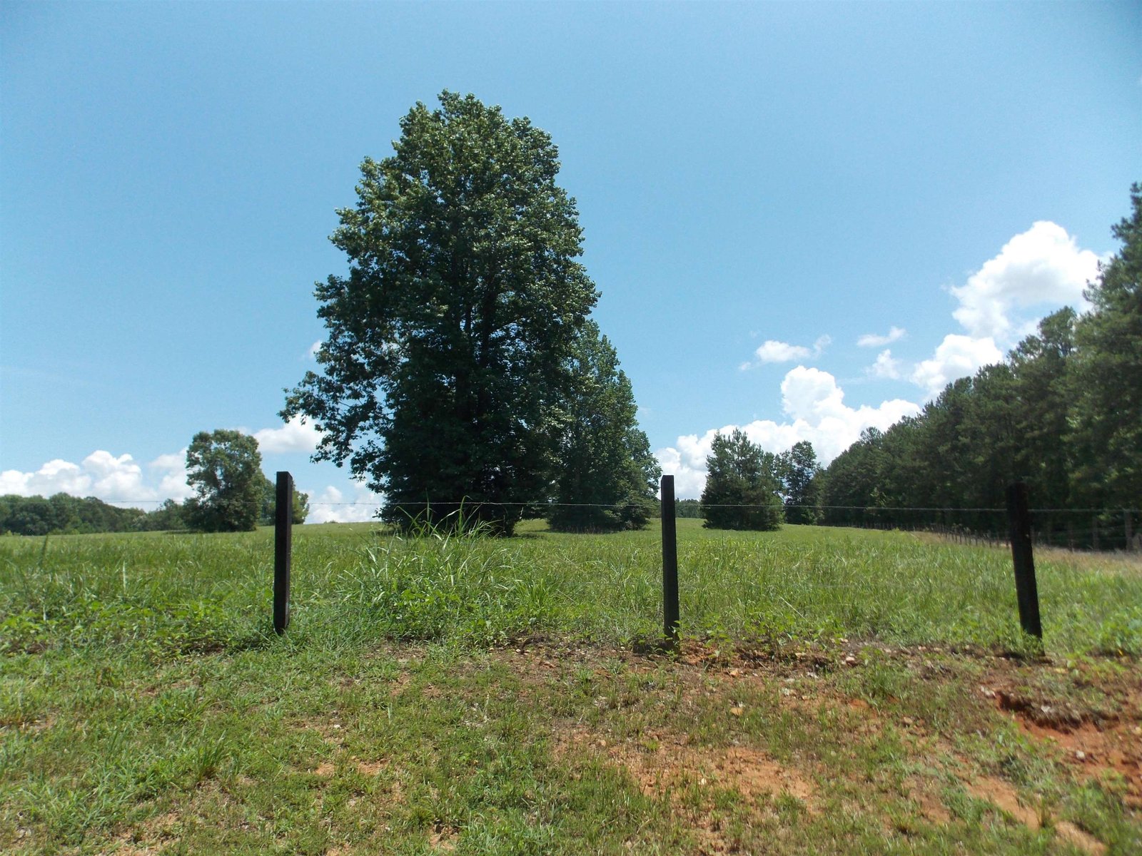 890 Ellis Road Monticello - 97