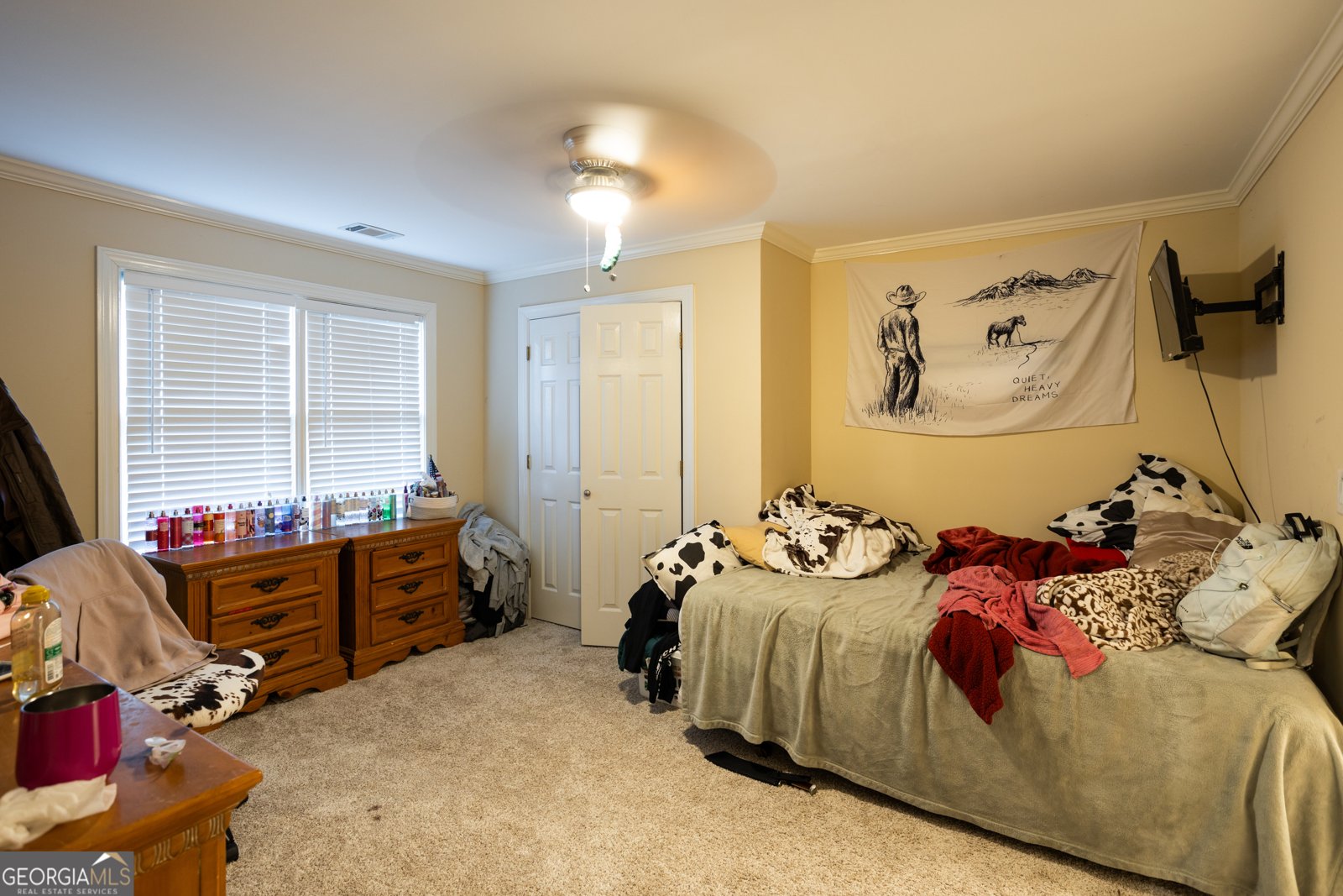 907 Hannah Court Loganville - 28