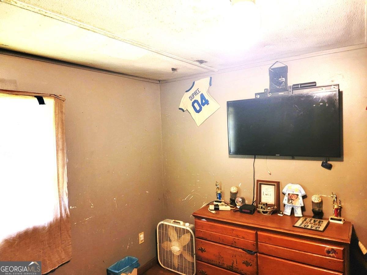 449 Hair Lake Road Summerville - 19