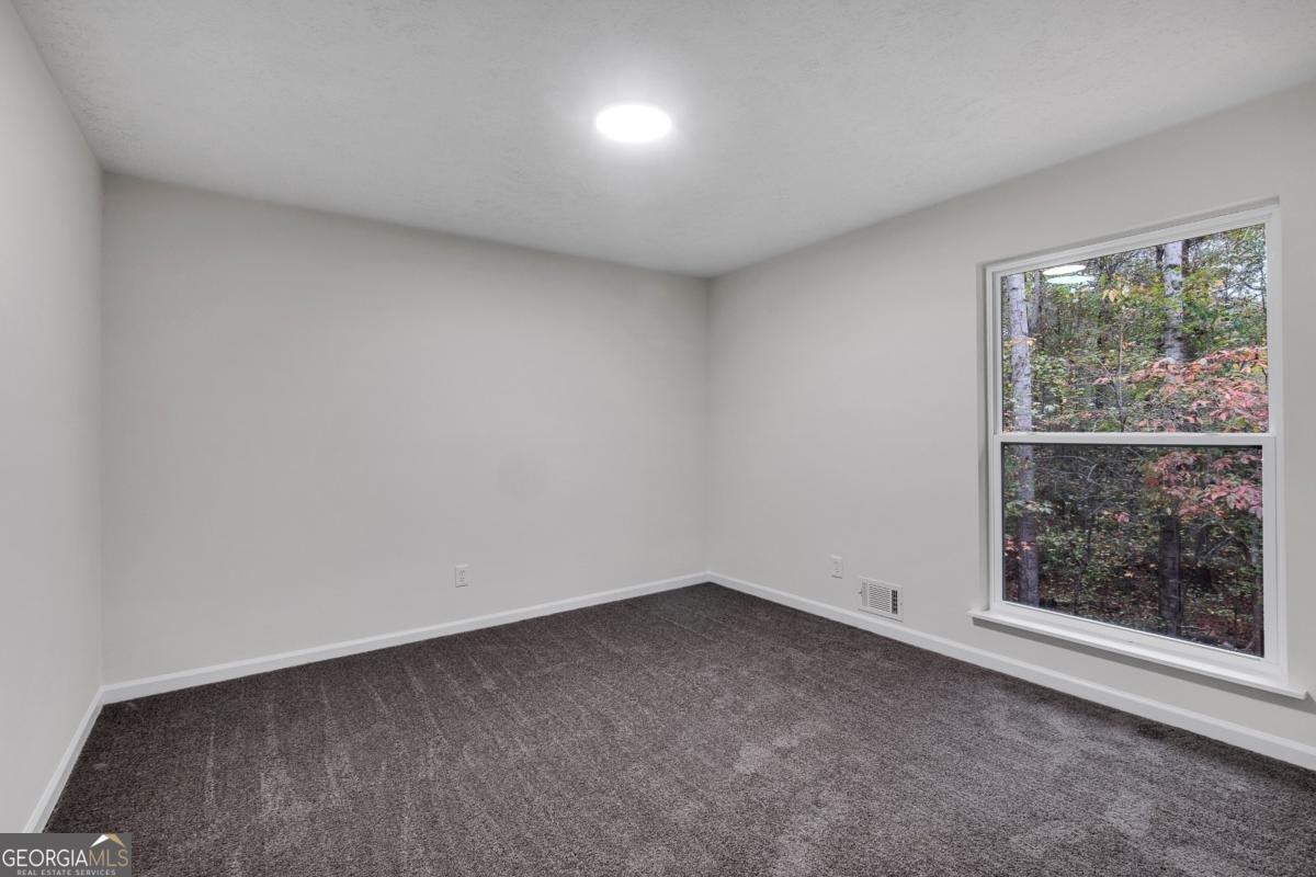 6881 Hickory Hollow Drive Douglasville - 16