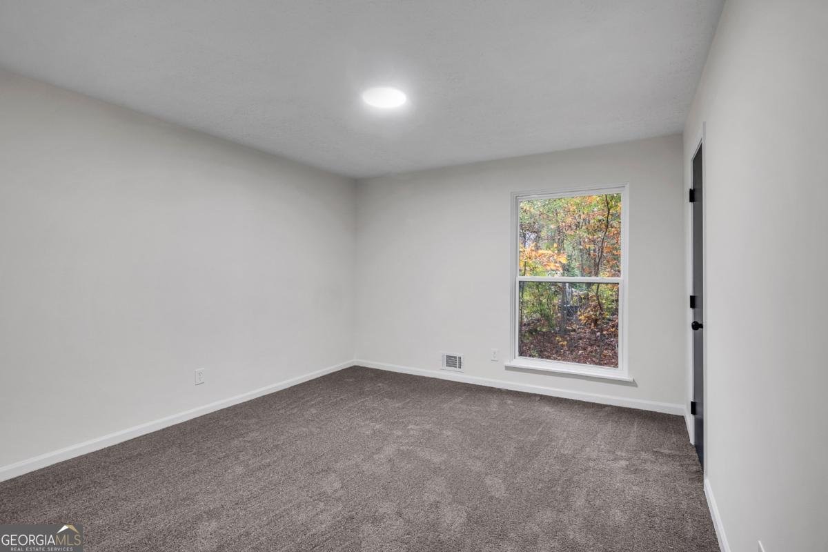 6881 Hickory Hollow Drive Douglasville - 26