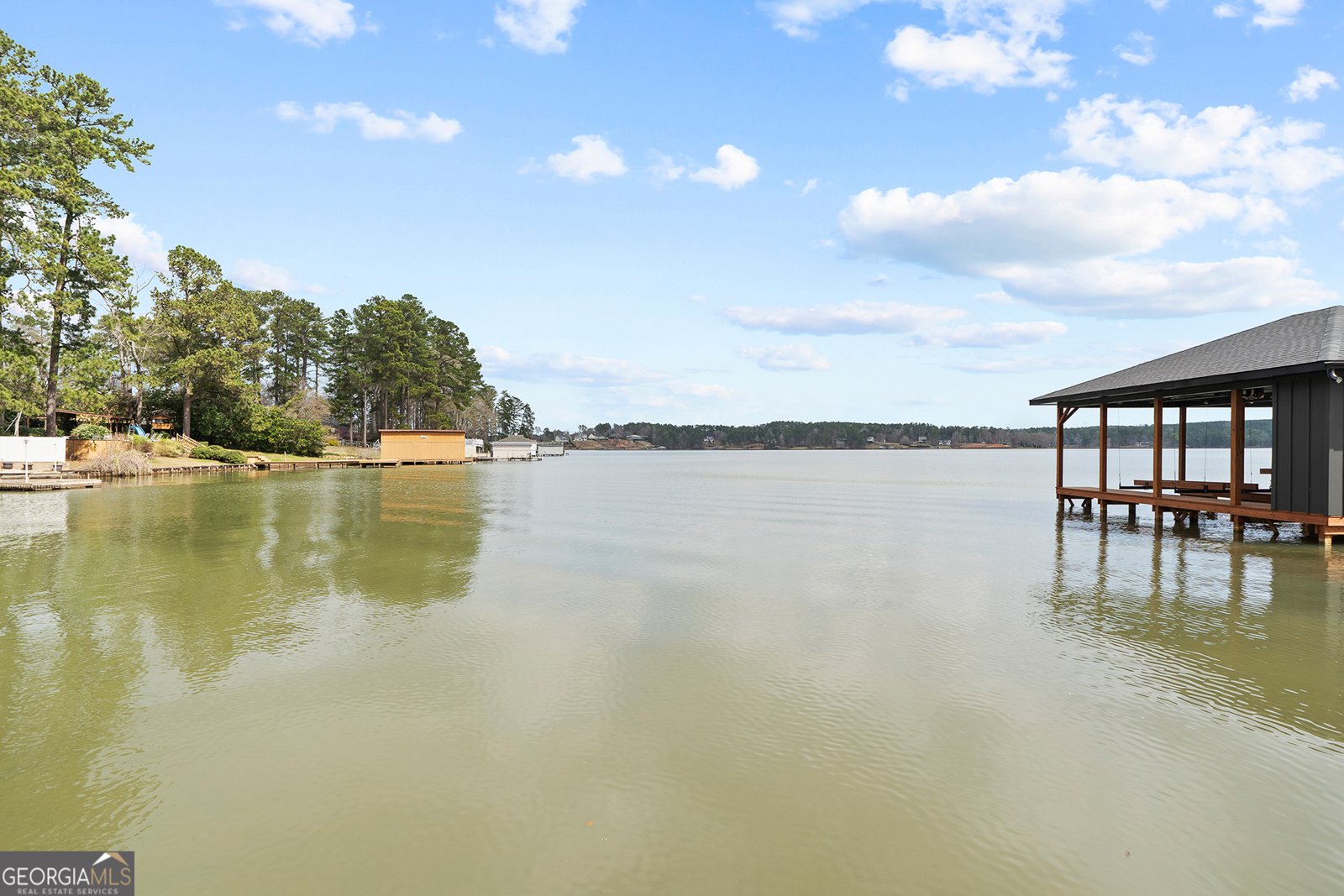 191B East Lakeview Milledgeville - 55