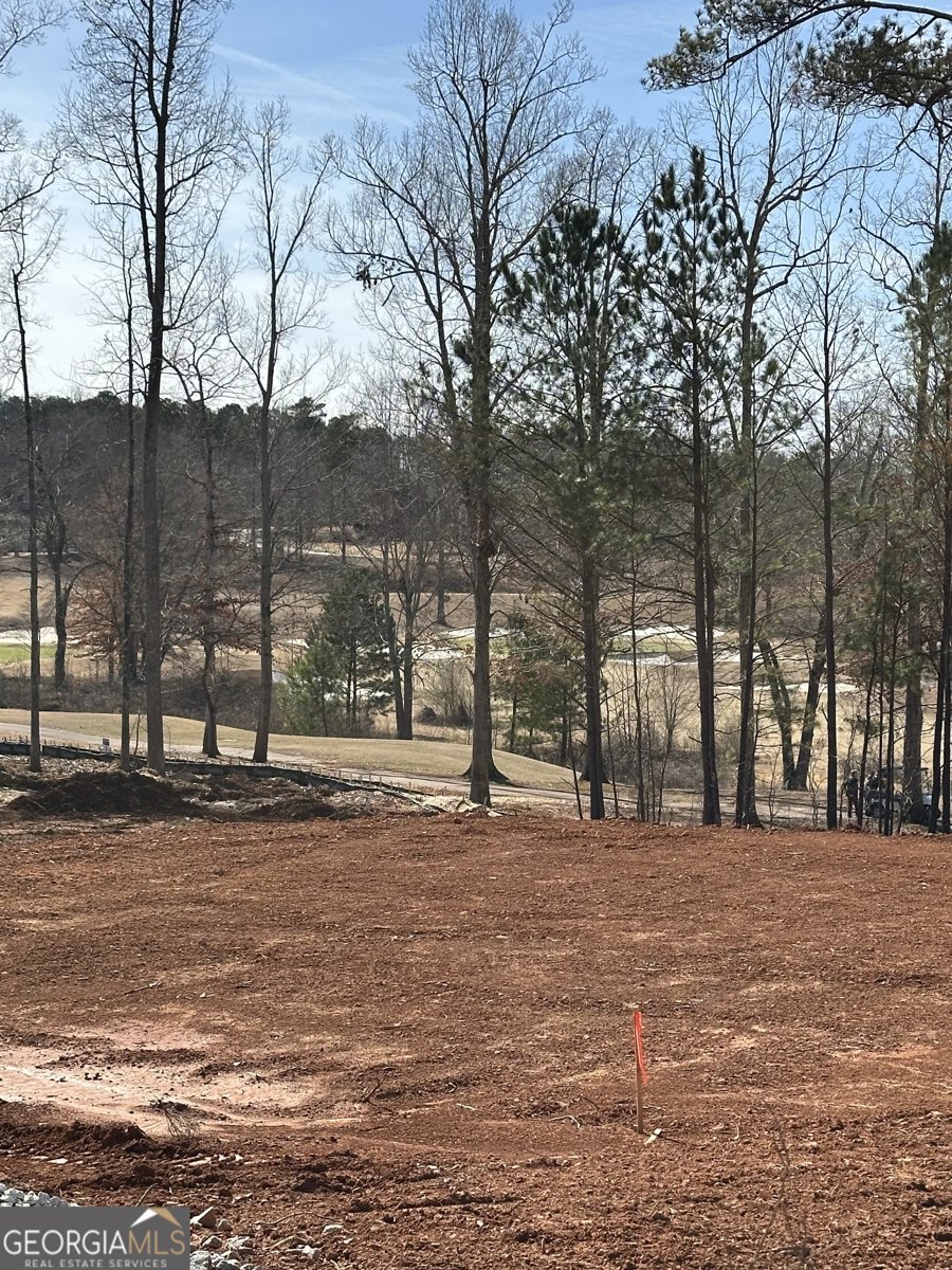 5004 Fairview Circle Villa Rica - 3