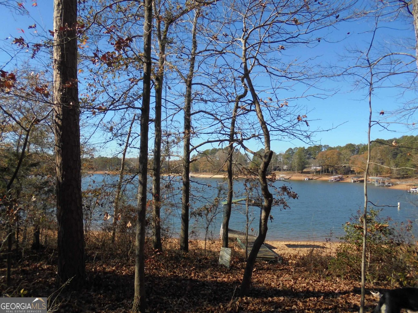 2375 Reed Creek Highway Hartwell - 9