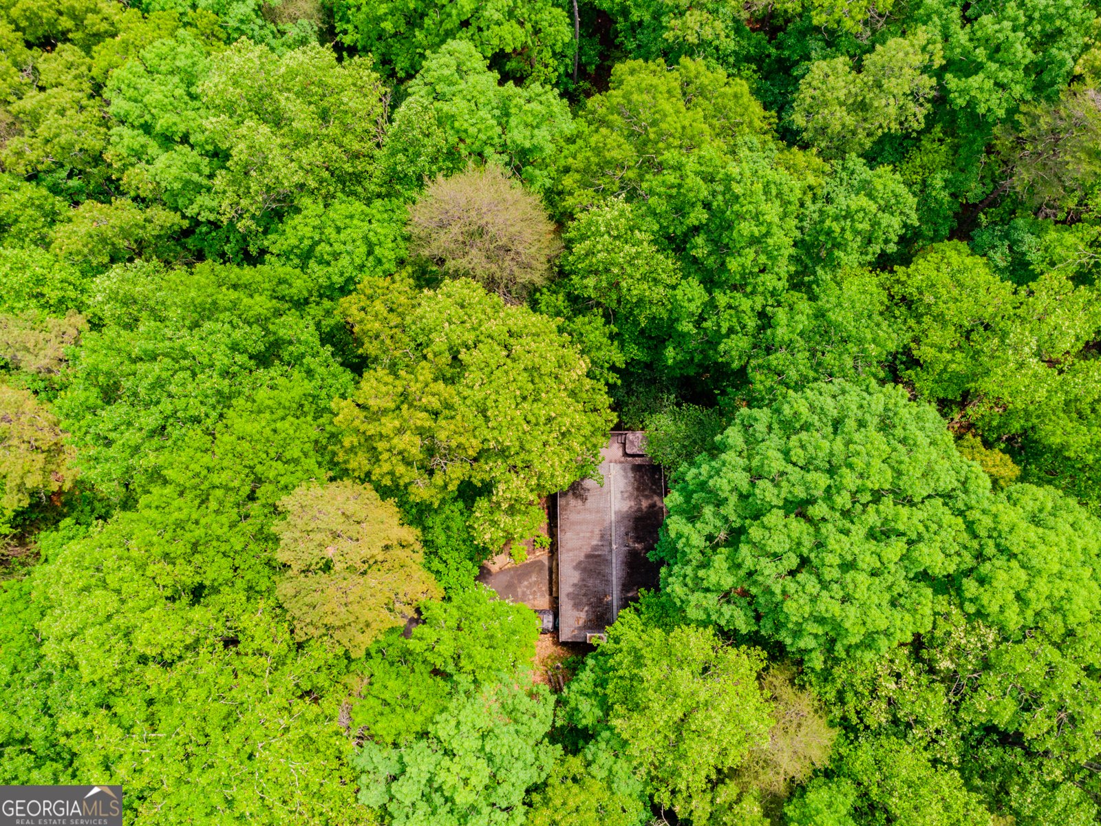 5820 Lake  Harbor Trail Gainesville - 10