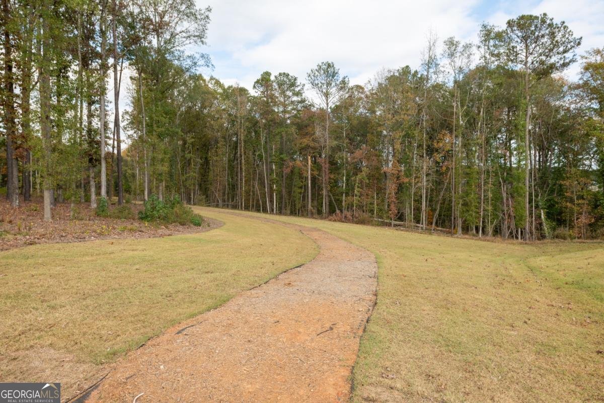 1304 Speckle Park Way Stockbridge - 1