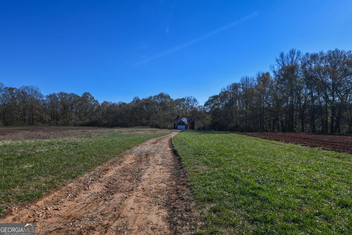 4239 Mangum Mill Road Gainesville - 100