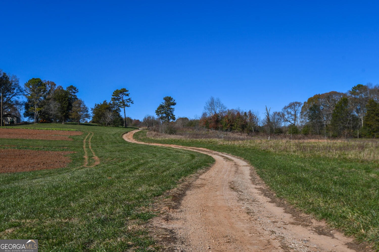 4239 Mangum Mill Road Gainesville - 101