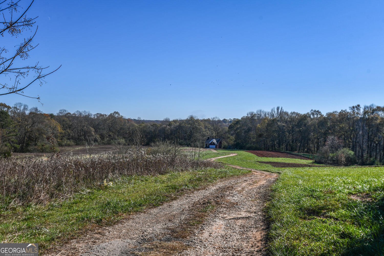 4239 Mangum Mill Road Gainesville - 102