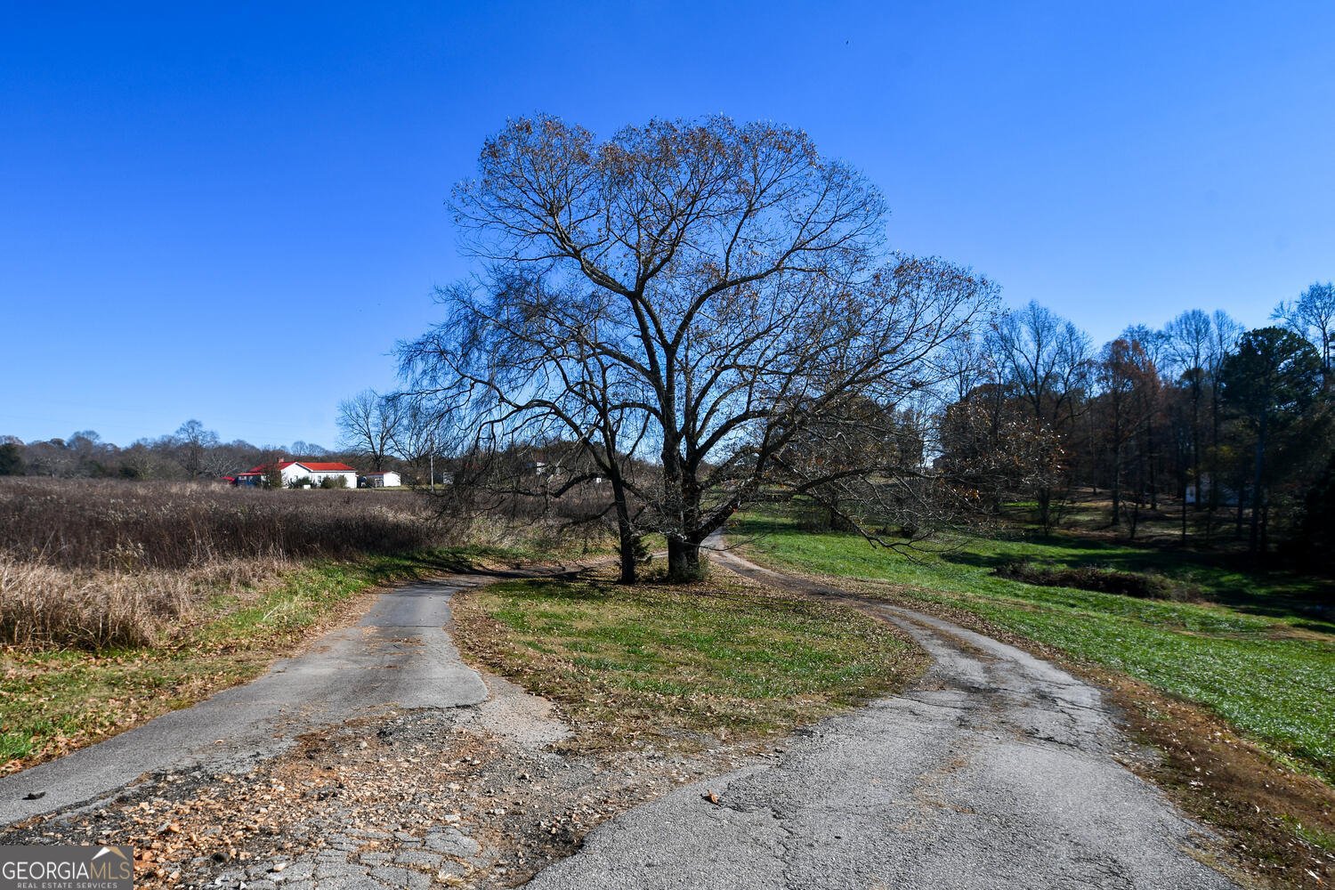 4239 Mangum Mill Road Gainesville - 2