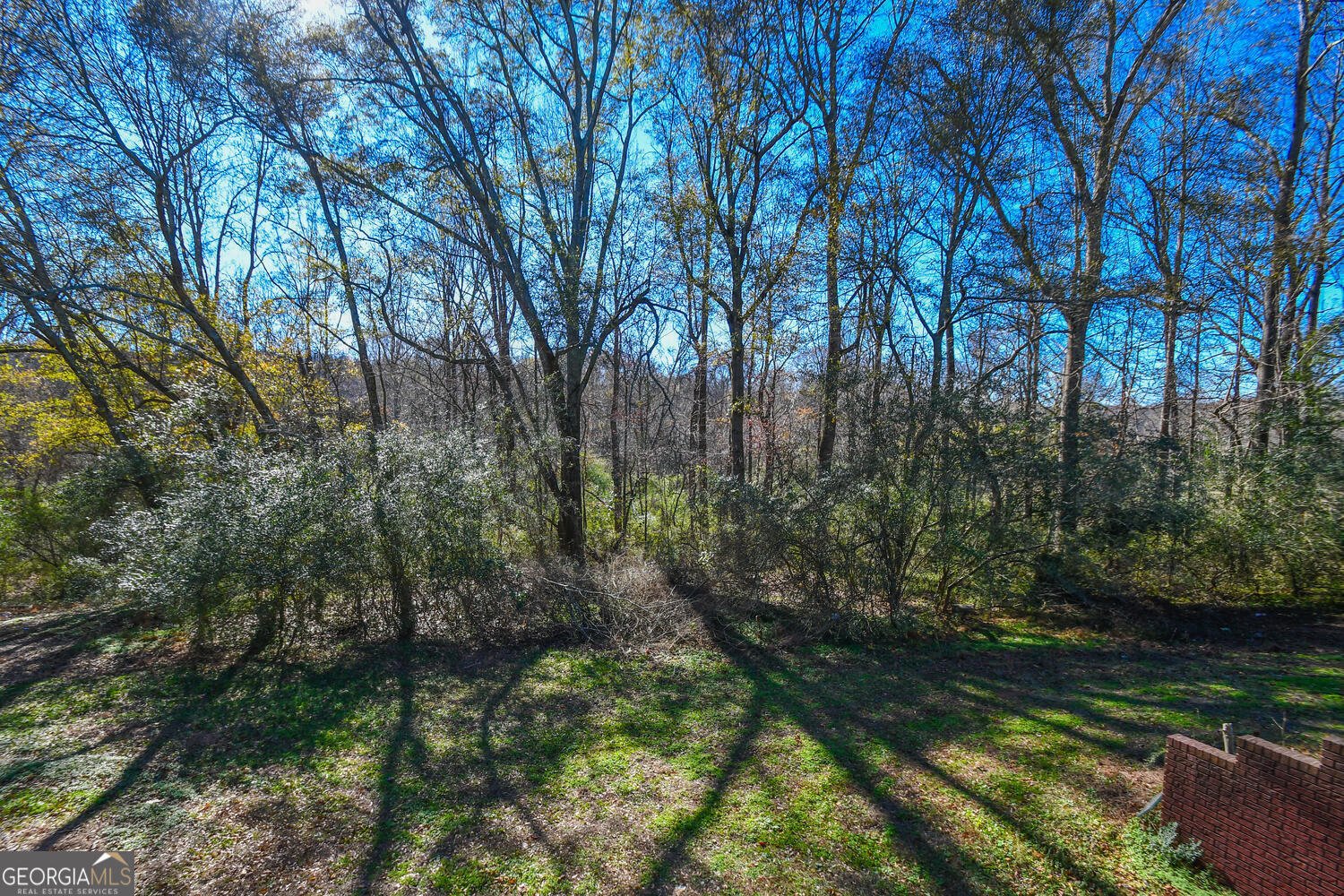 4239 Mangum Mill Road Gainesville - 35