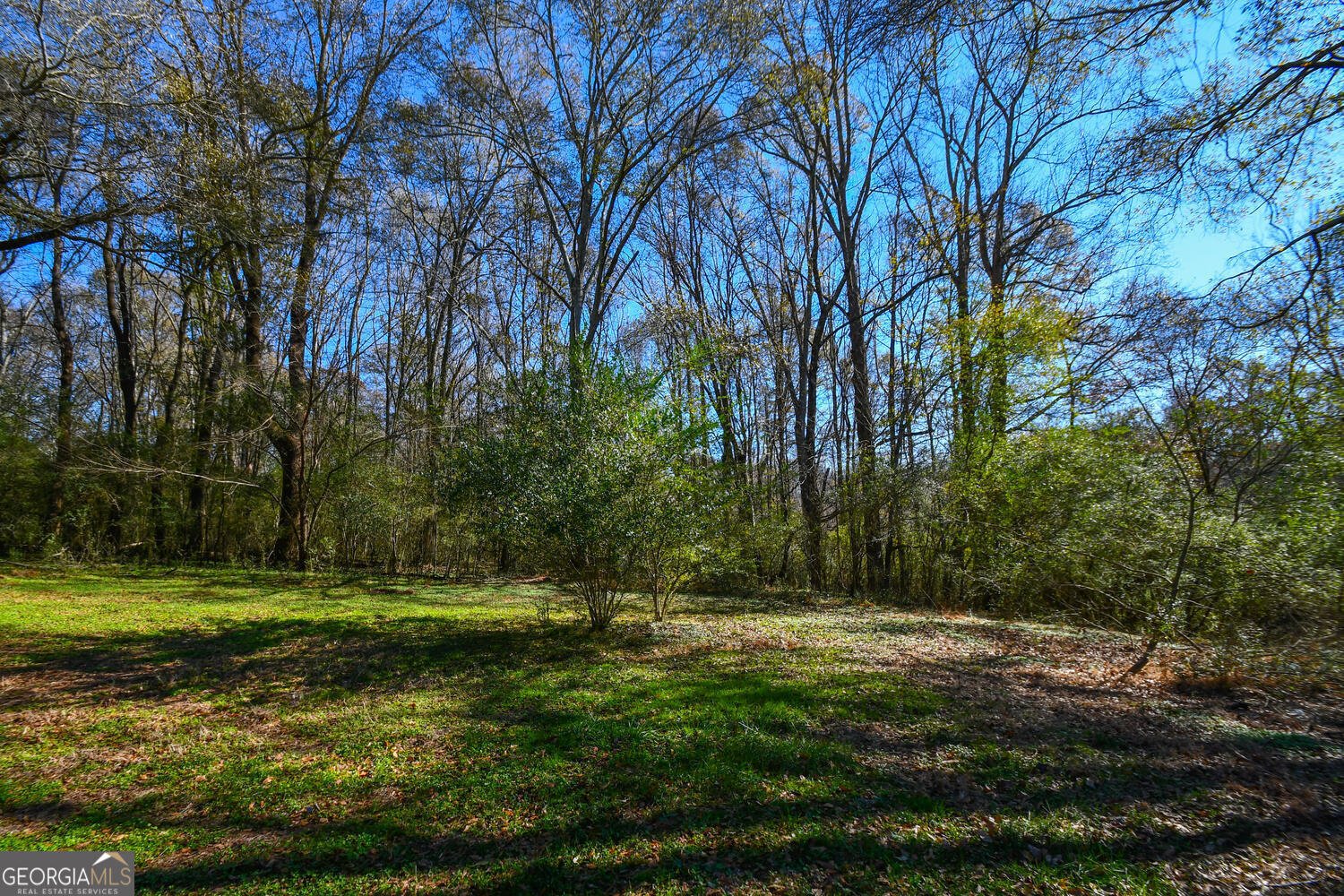 4239 Mangum Mill Road Gainesville - 94