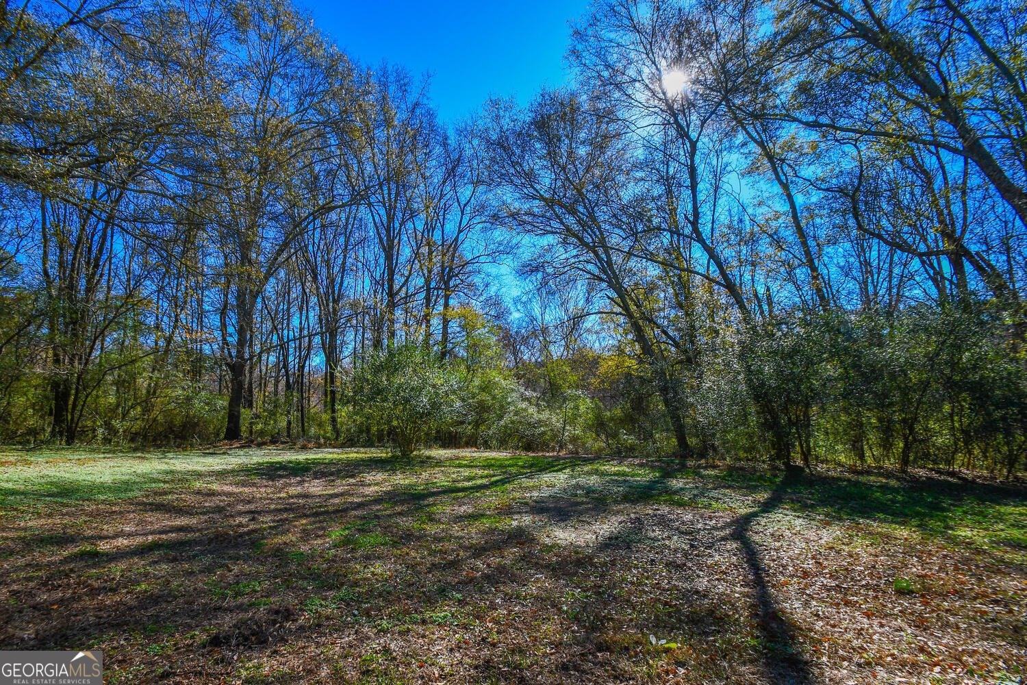 4239 Mangum Mill Road Gainesville - 99