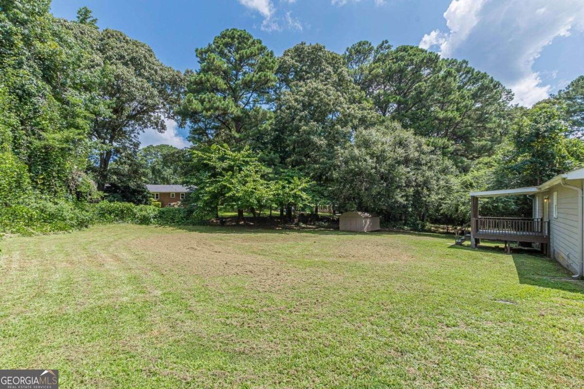 6226 Pine Lane Douglasville - 43