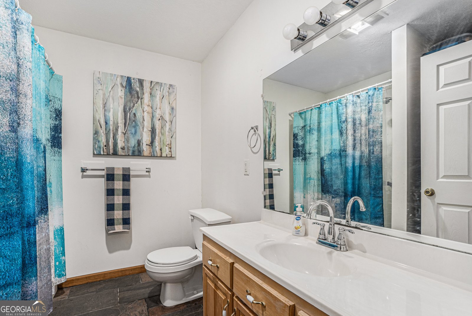 294 Brookwood Lane Clarkesville - 22