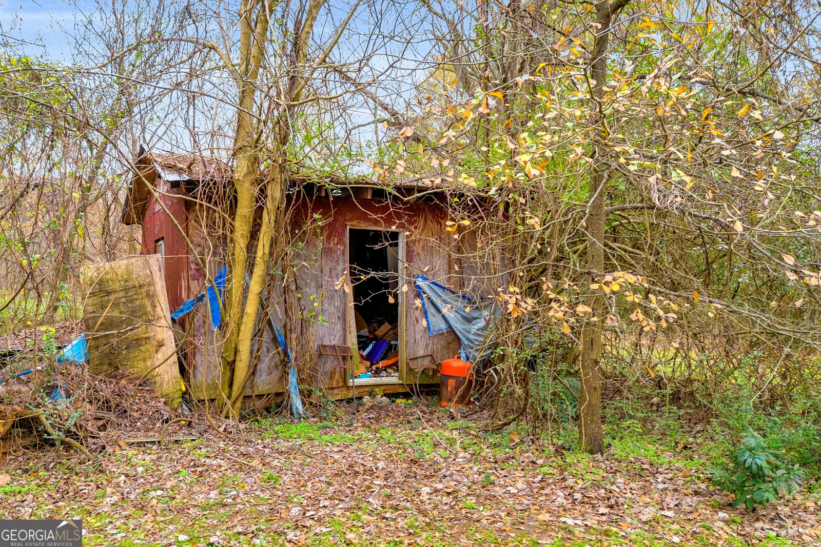 126 Segars Street Bowman - 42