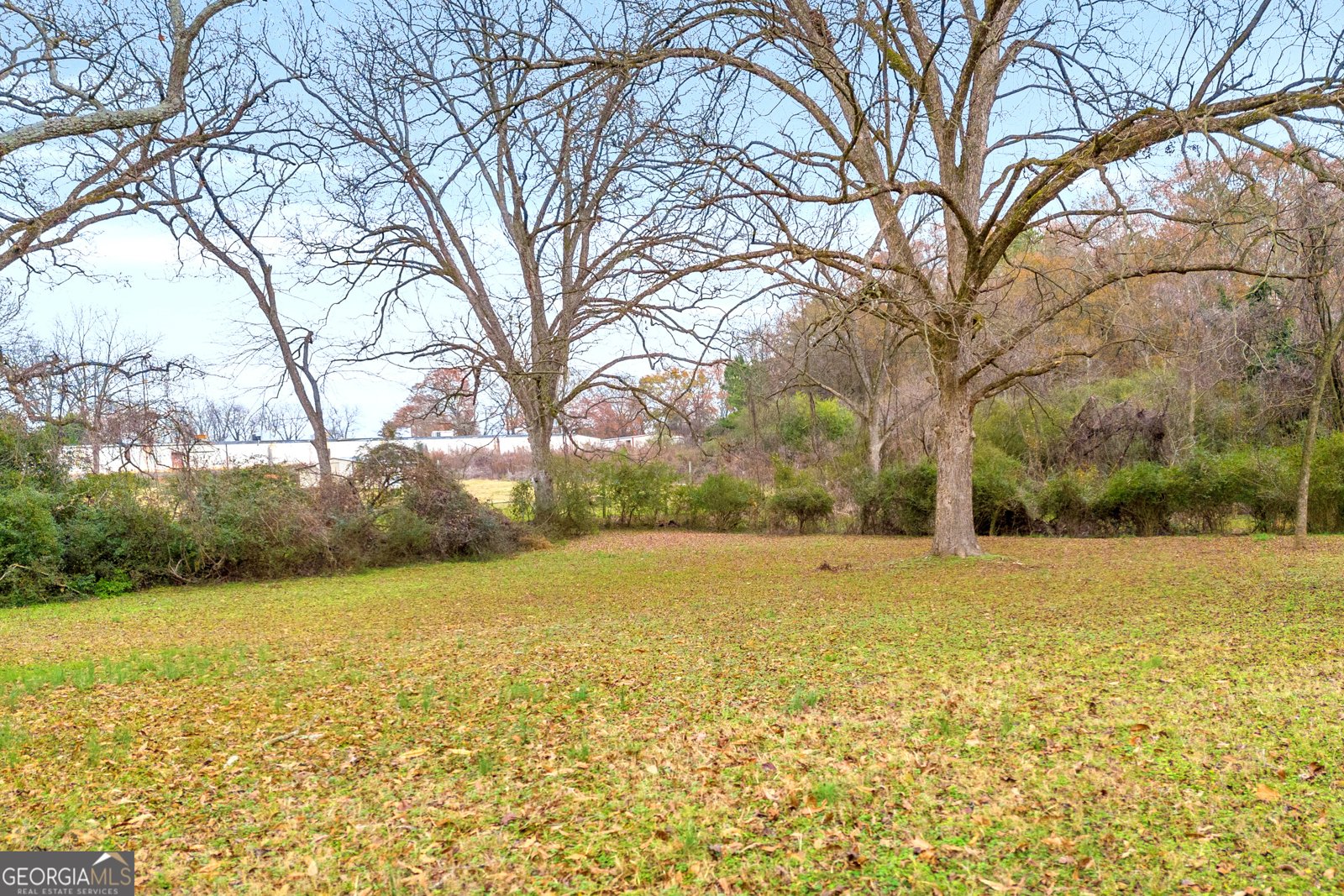 126 Segars Street Bowman - 50