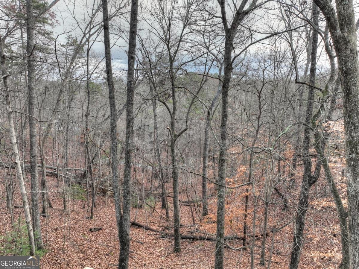 64 Kismet Court Ellijay - 45