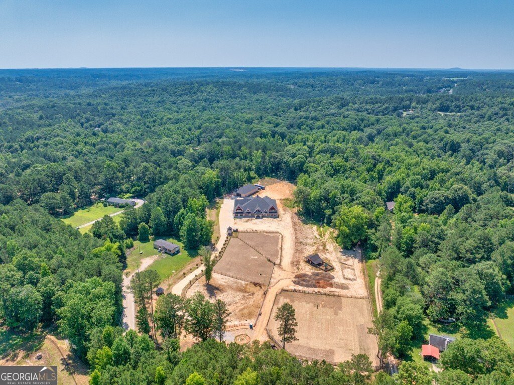 1730 Etchison SPUR Loganville - 61