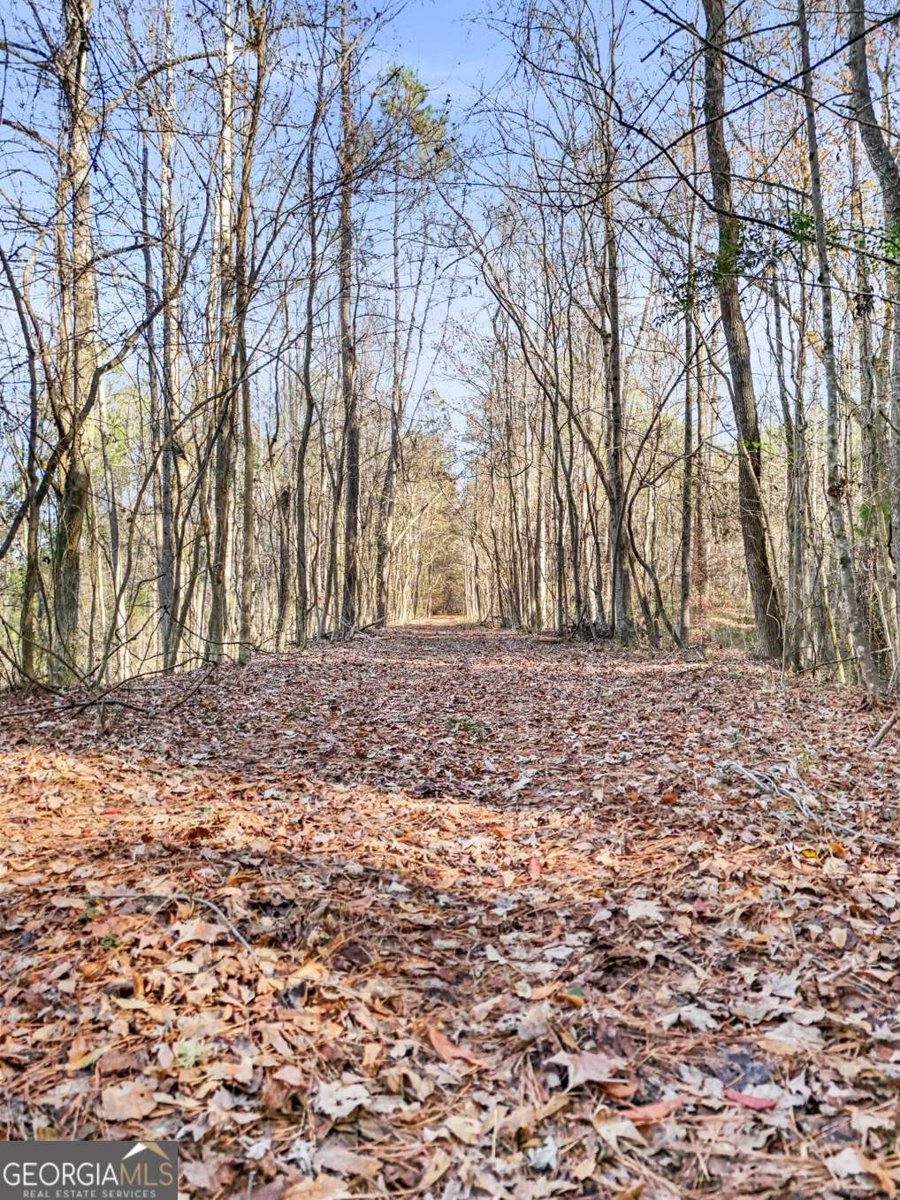 501 Raleigh Road Woodbury - 7
