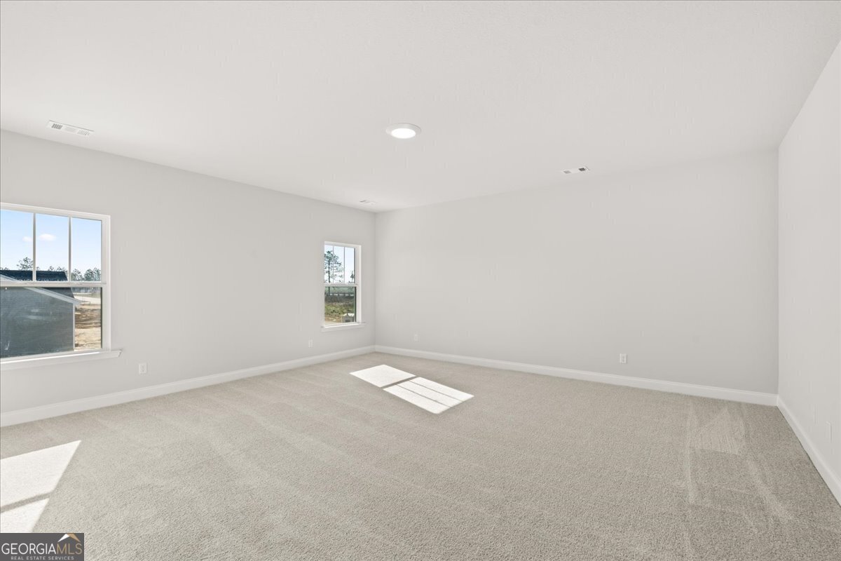 211 Manchester Drive Statesboro - 18