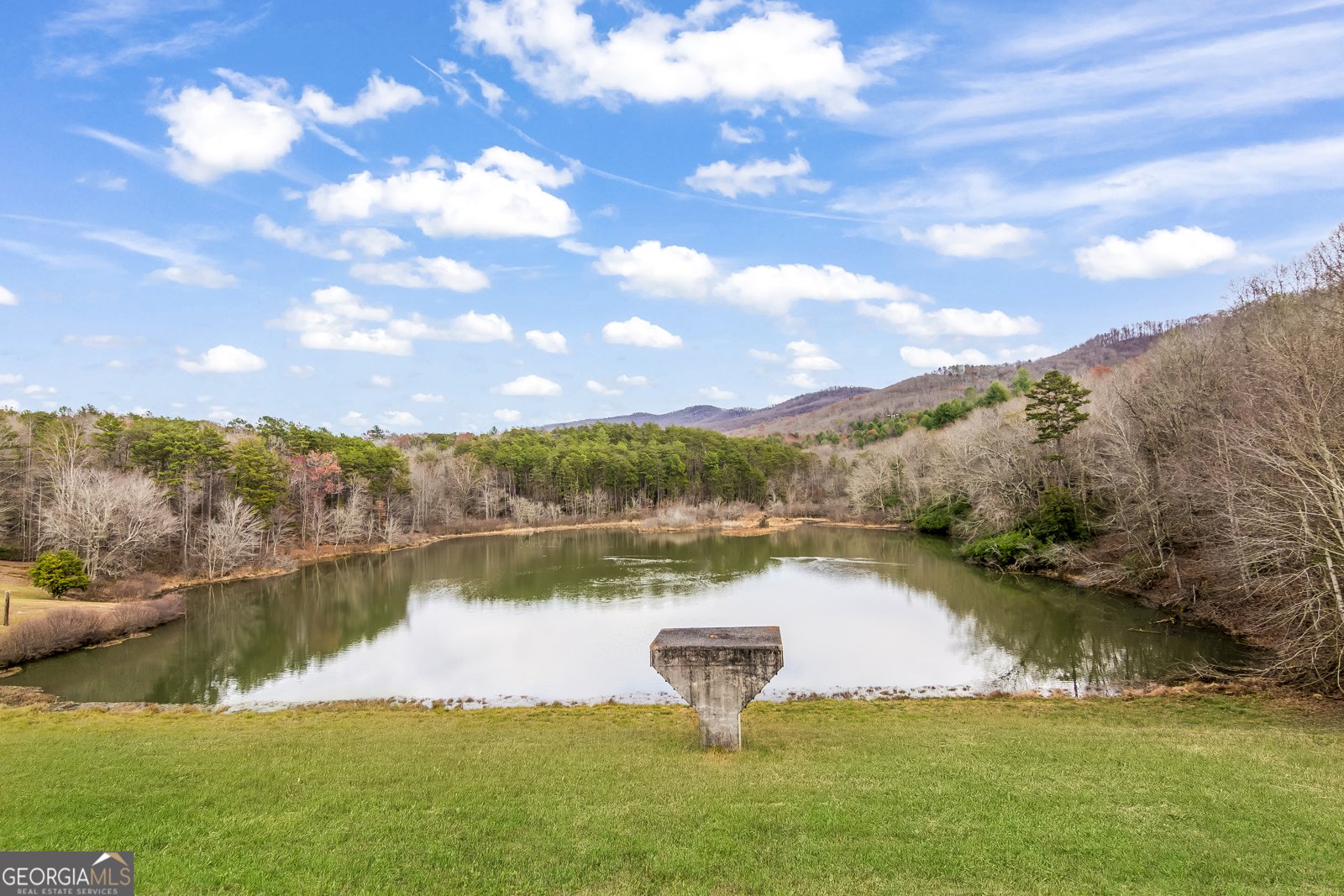 9121 Roy Road Ellijay - 37