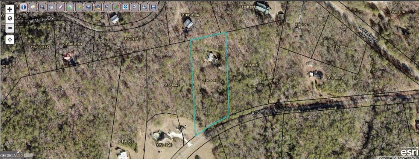 9121 Roy Road Ellijay - 39