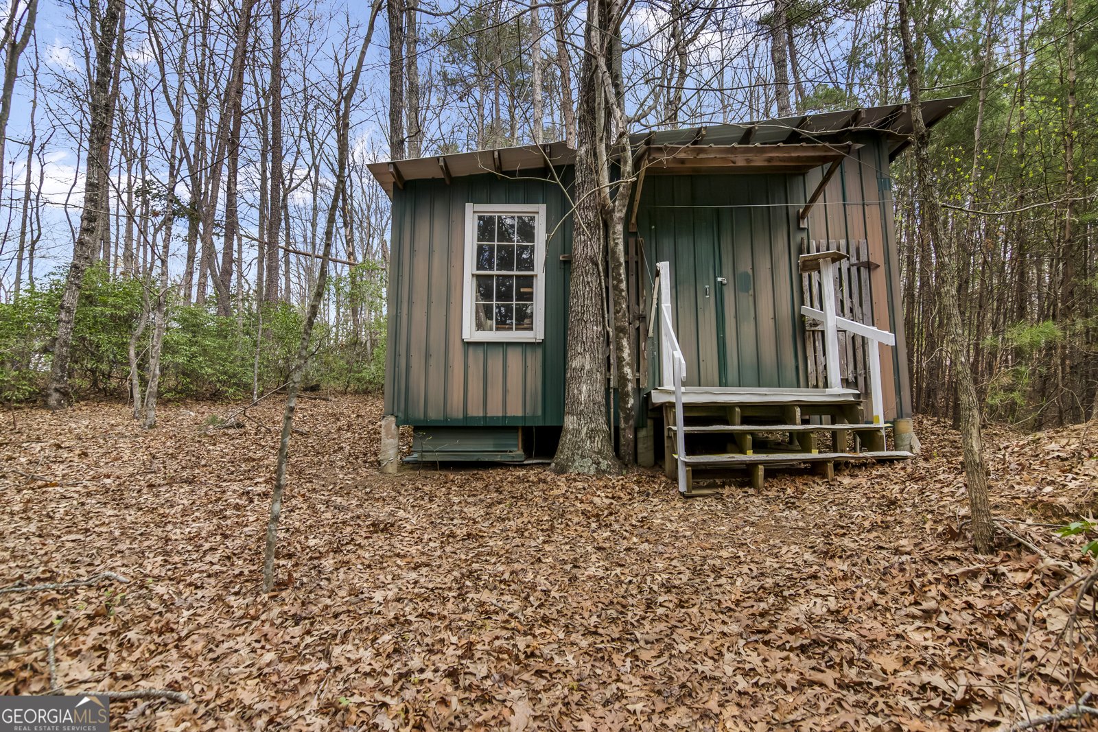 9121 Roy Road Ellijay - 43