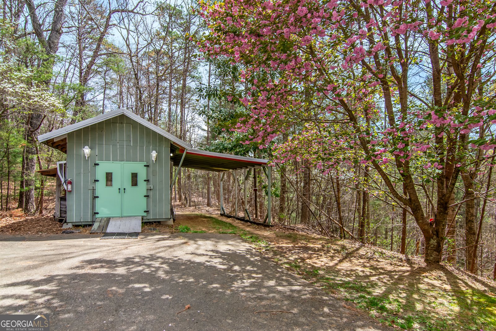 9121 Roy Road Ellijay - 44