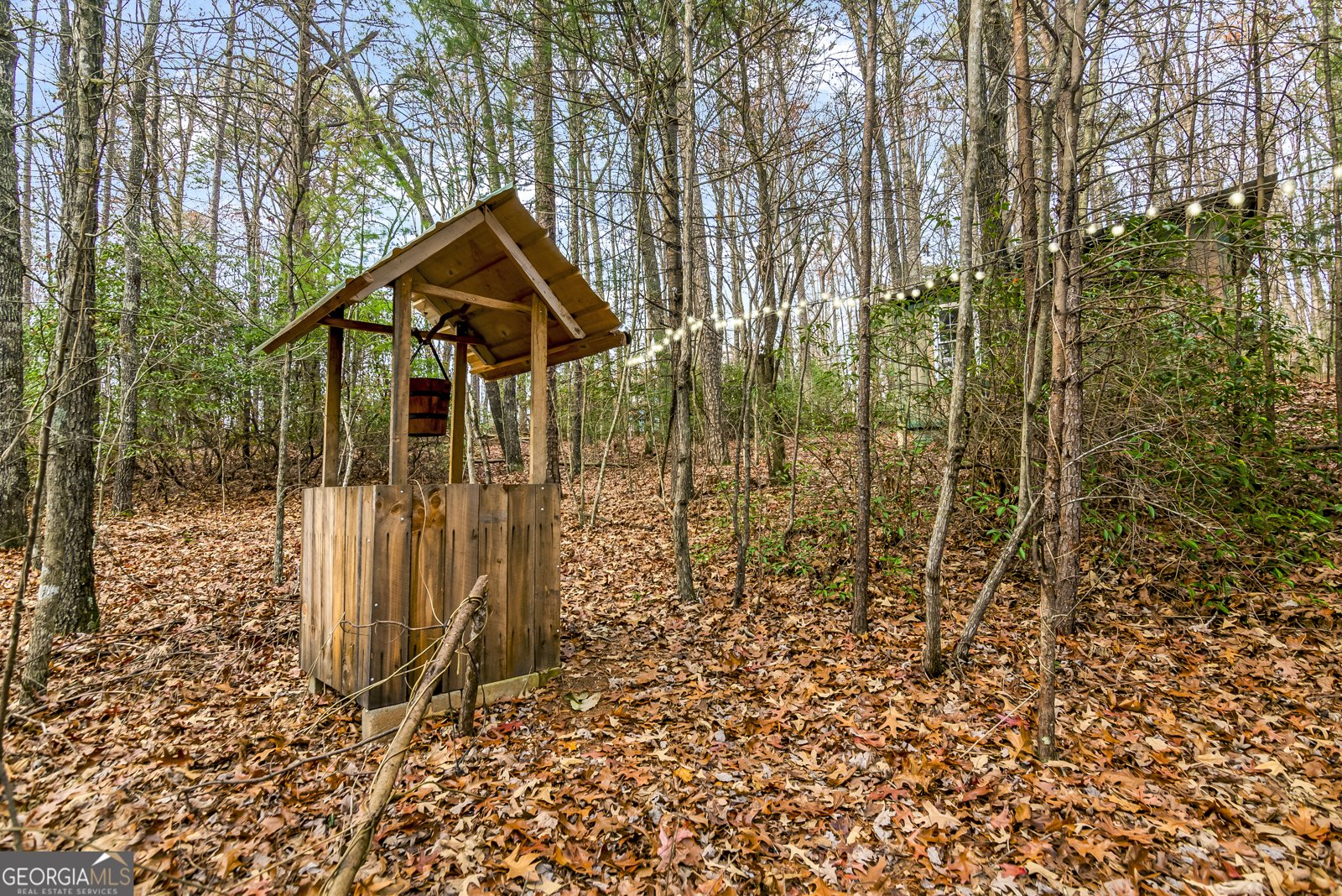 9121 Roy Road Ellijay - 45