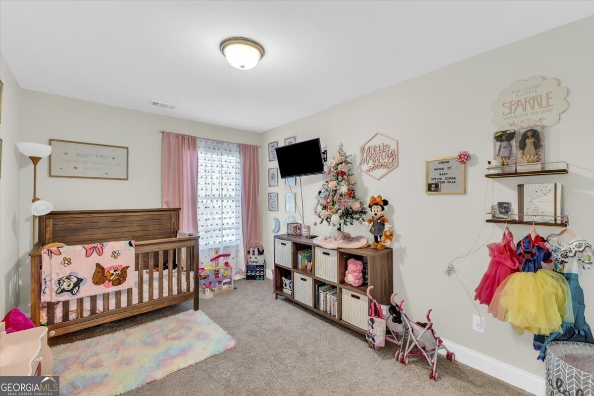 330 Carter Street Richmond Hill - 19