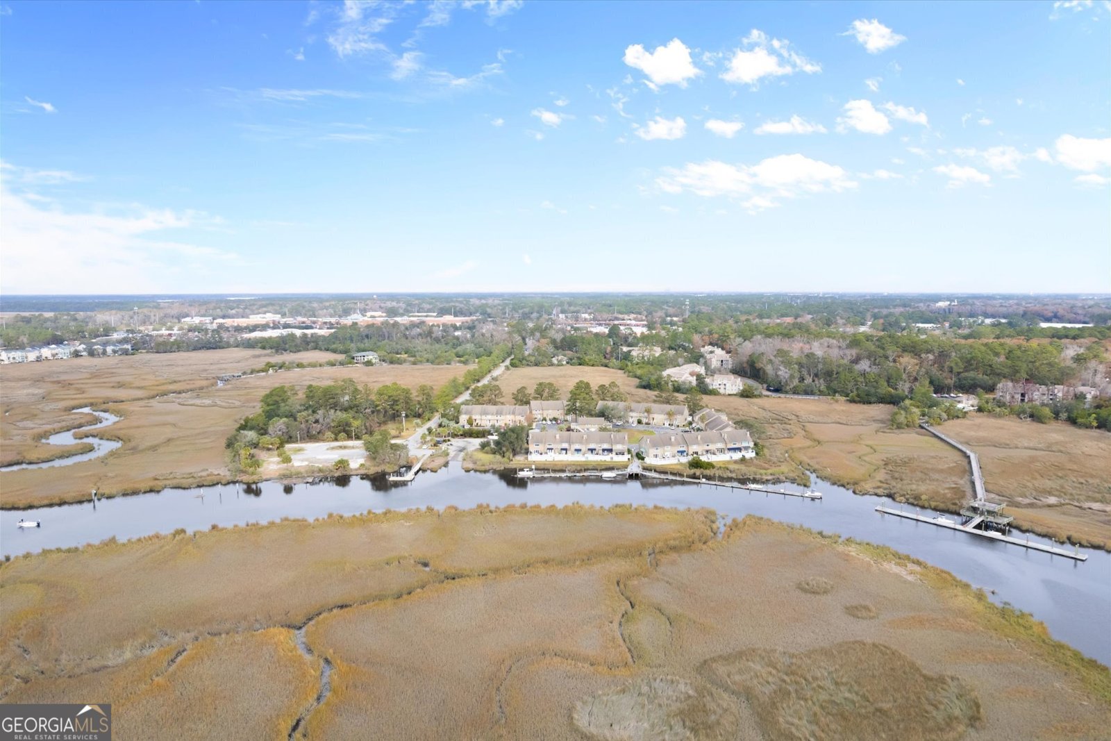 12502 Apache Avenue Savannah - 45