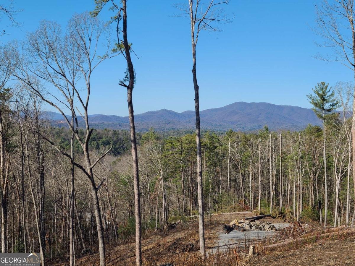 1705 Old Northcutt Road Ellijay - 20