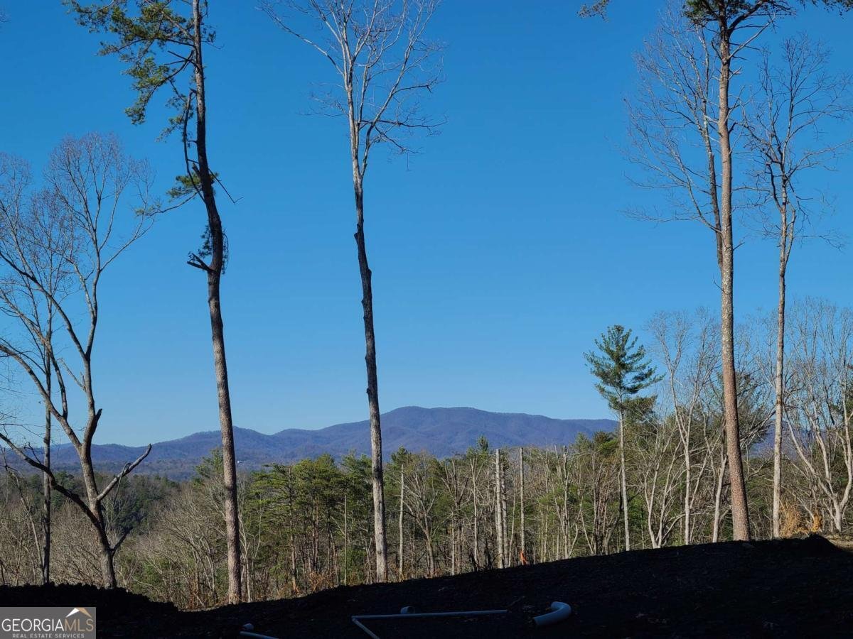 1705 Old Northcutt Road Ellijay - 22